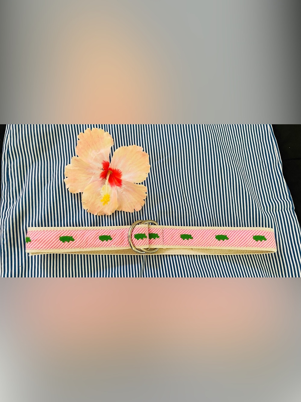 J. Crew Pink Striped Belt with Green Embroidered Hippo and Silver Rings - Picture 6 of 14